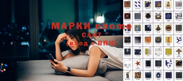 гидра Вяземский