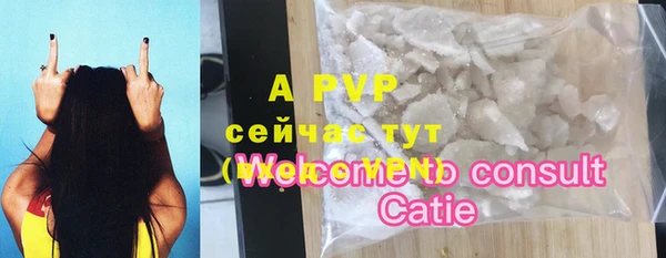 гидра Вяземский