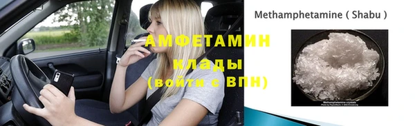 гидра Вяземский