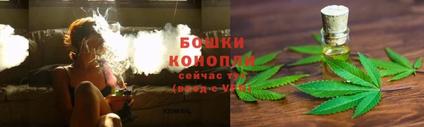 гидра Вяземский