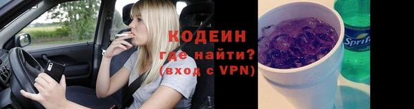 гидра Вяземский
