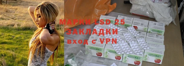 apvp Вязьма