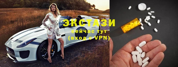 гидра Вяземский