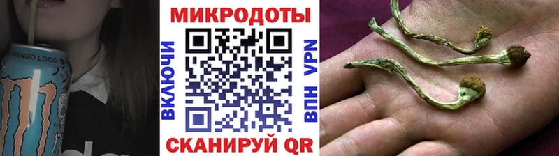 Купить закладки  Долгопрудный  Псилоцибиновые грибы мицелий 